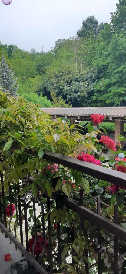 Il Giardino Del Gallo ケラスコ エクステリア 写真