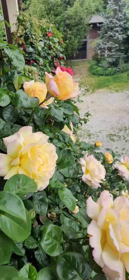 Il Giardino Del Gallo ケラスコ エクステリア 写真
