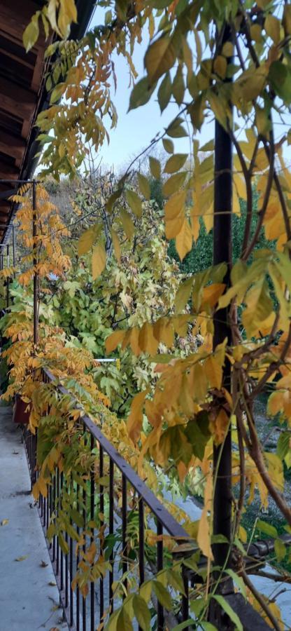 Il Giardino Del Gallo ケラスコ エクステリア 写真