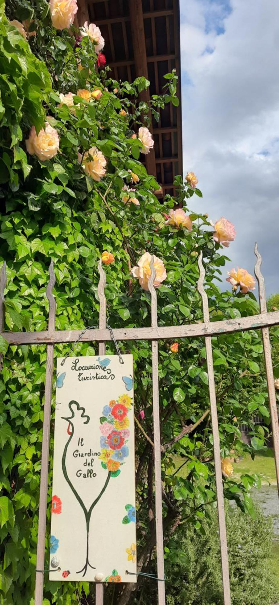 Il Giardino Del Gallo ケラスコ エクステリア 写真